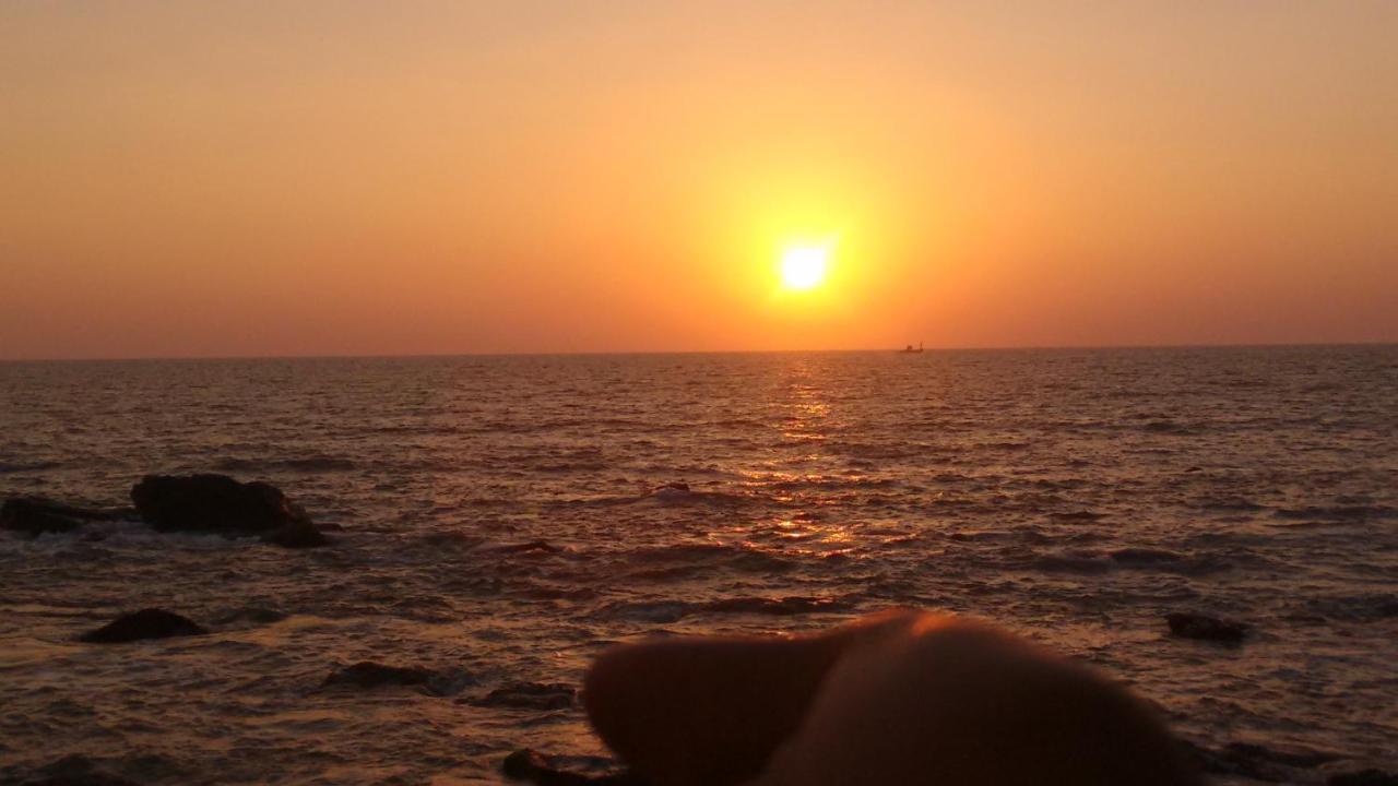 Shree Sai Cottage Sea View Arambol Ngoại thất bức ảnh